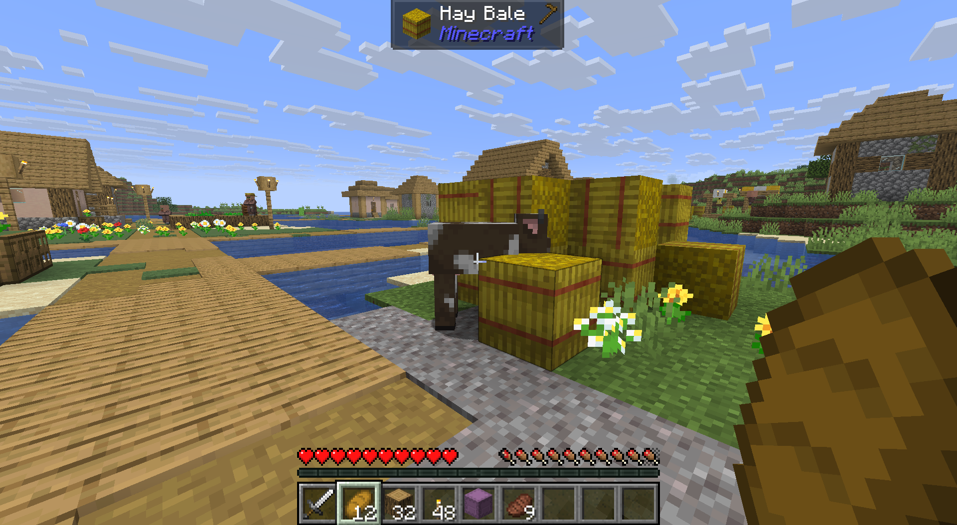 In survival with Keel Comfort: Jade names the block in the crosshair