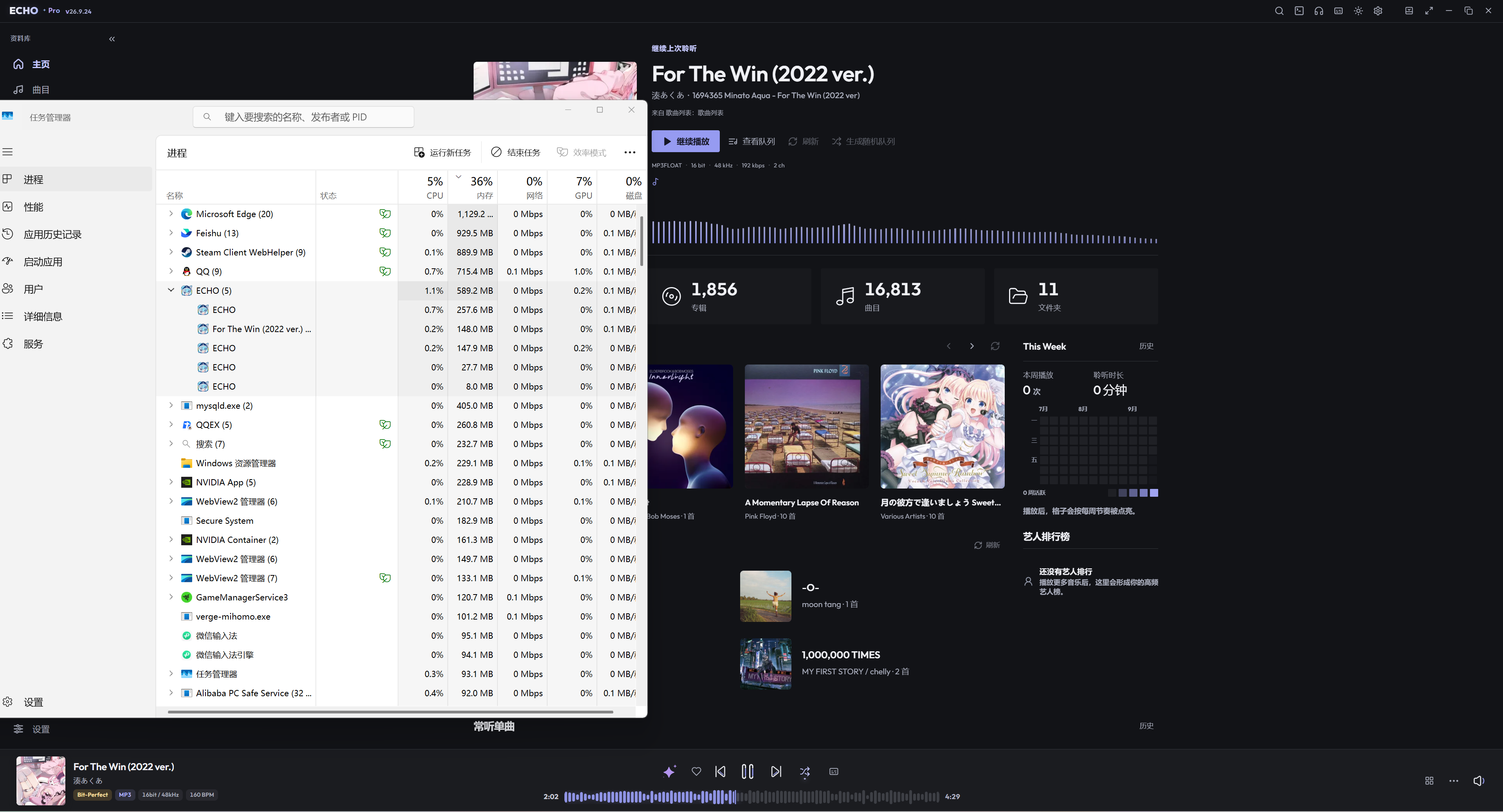 Steam 版播放时的任务管理器快照：16,813 首曲目，ECHO 进程组占用 589.2 MB 内存、1.1% CPU