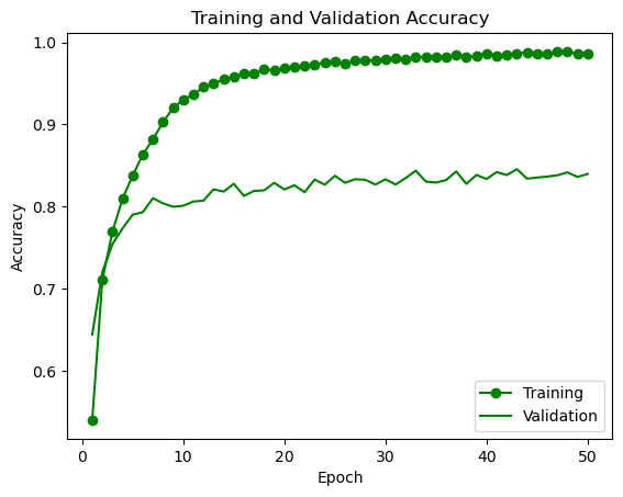 Loss and Accuracy Curves