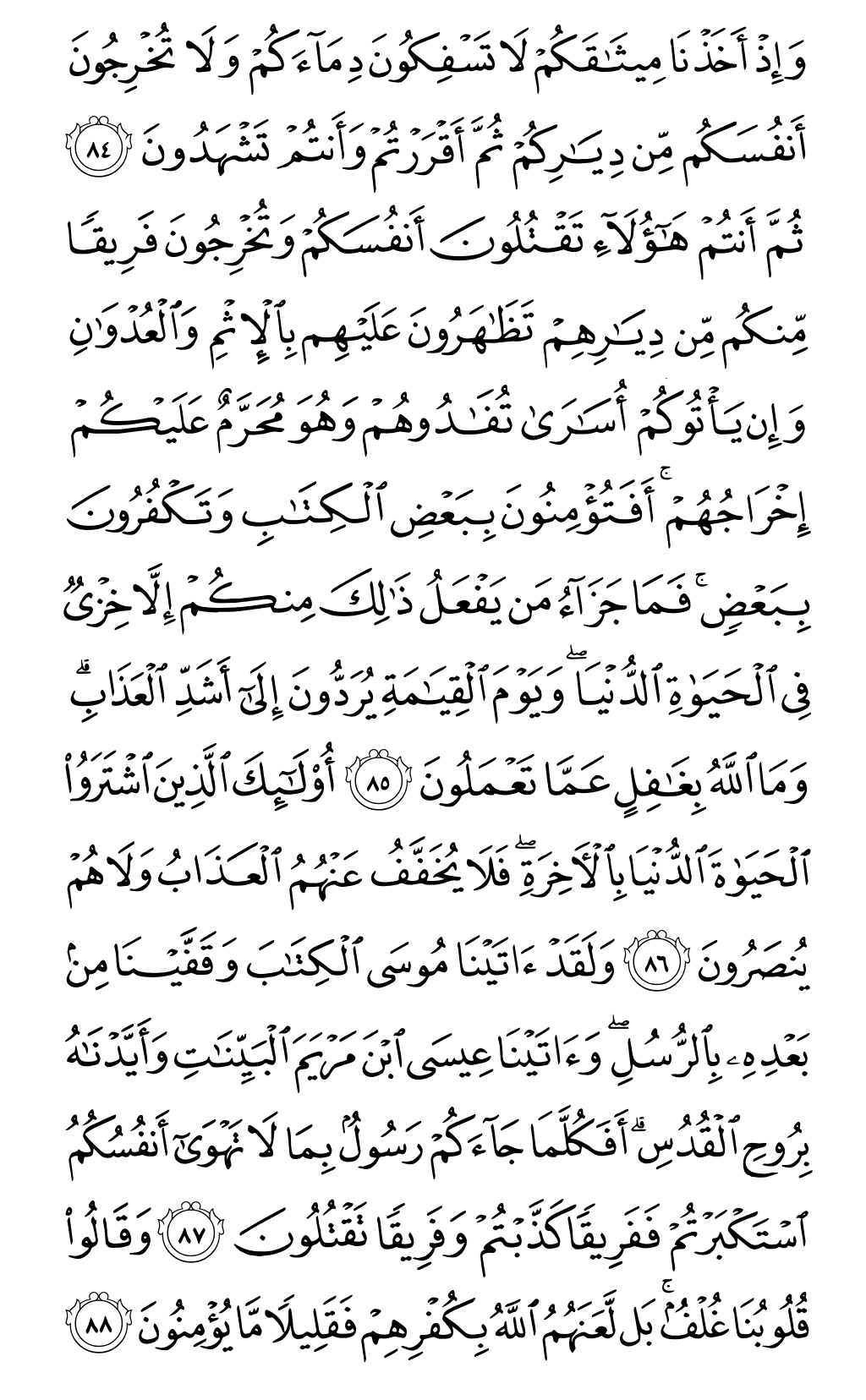 الصفحة رقم 13 من القرآن الكريم