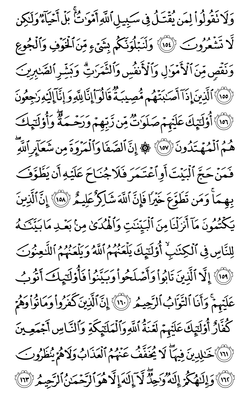 الصفحة رقم 24 من القرآن الكريم