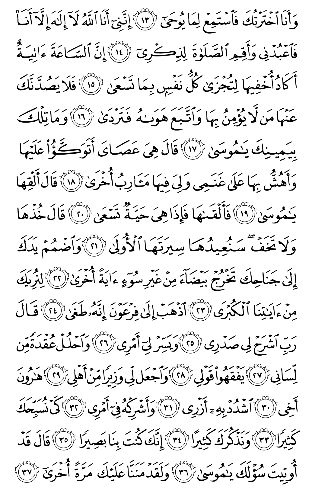الصفحة رقم 313 من القرآن الكريم