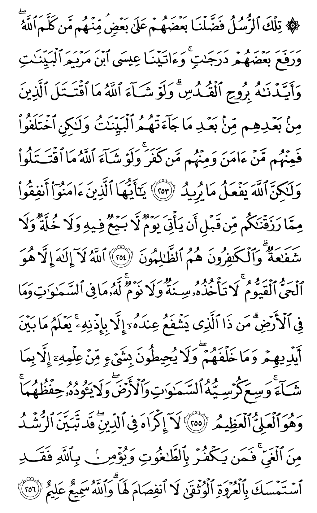 الصفحة رقم 42 من القرآن الكريم