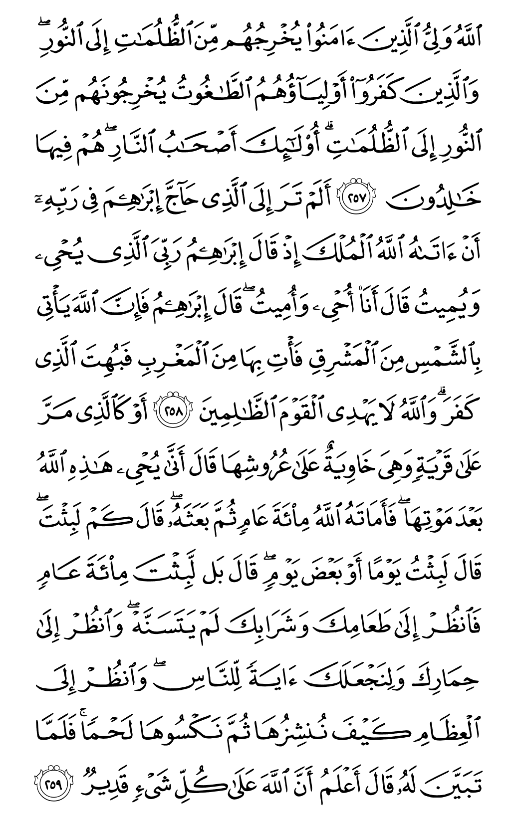 الصفحة رقم 43 من القرآن الكريم