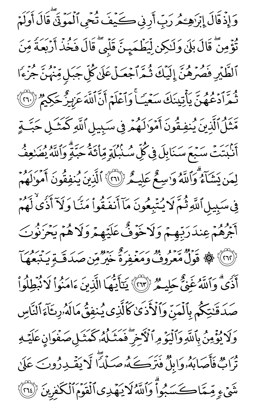 الصفحة رقم 44 من القرآن الكريم
