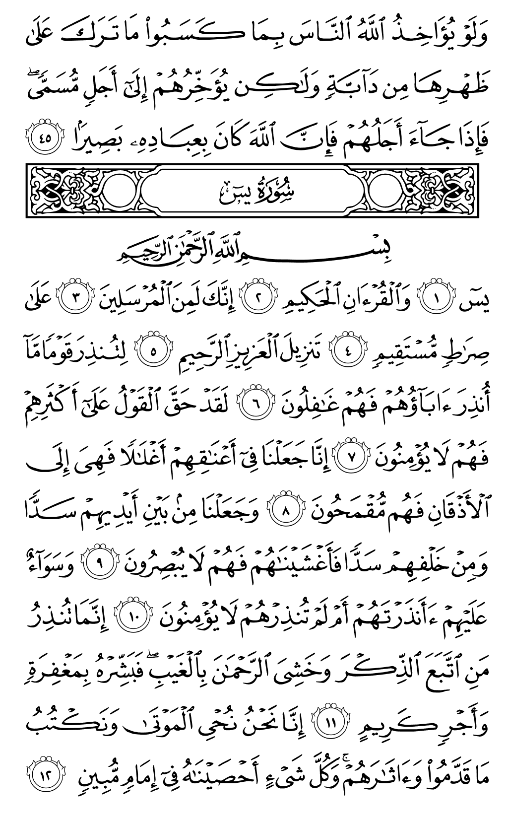 الصفحة رقم 440 من القرآن الكريم