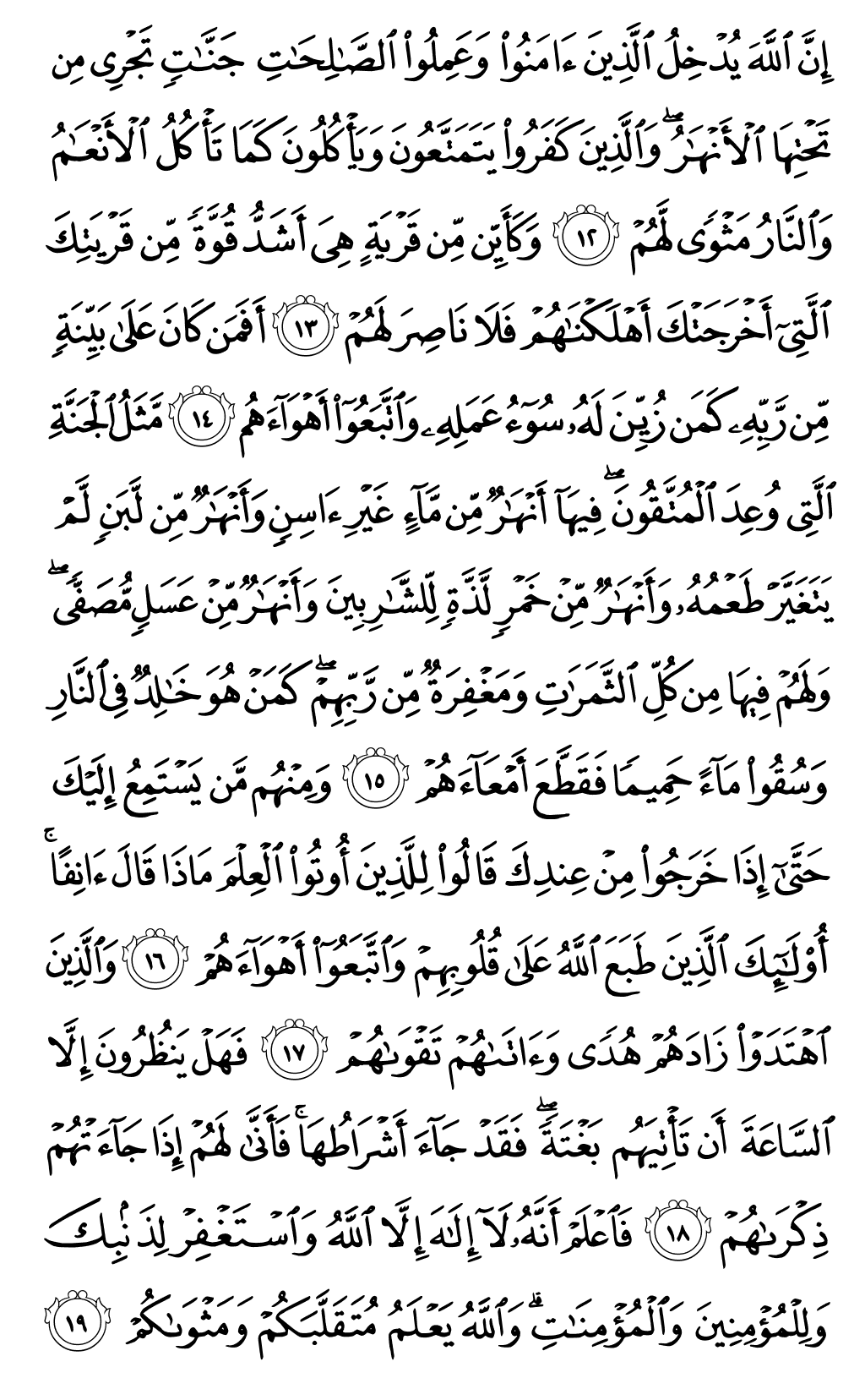 الصفحة رقم 508 من القرآن الكريم