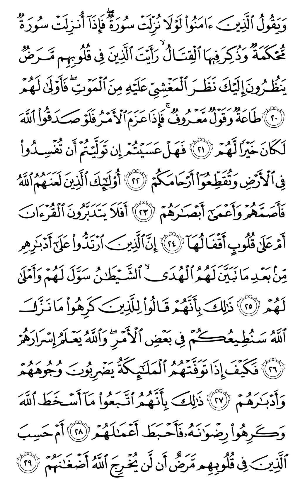 الصفحة رقم 509 من القرآن الكريم