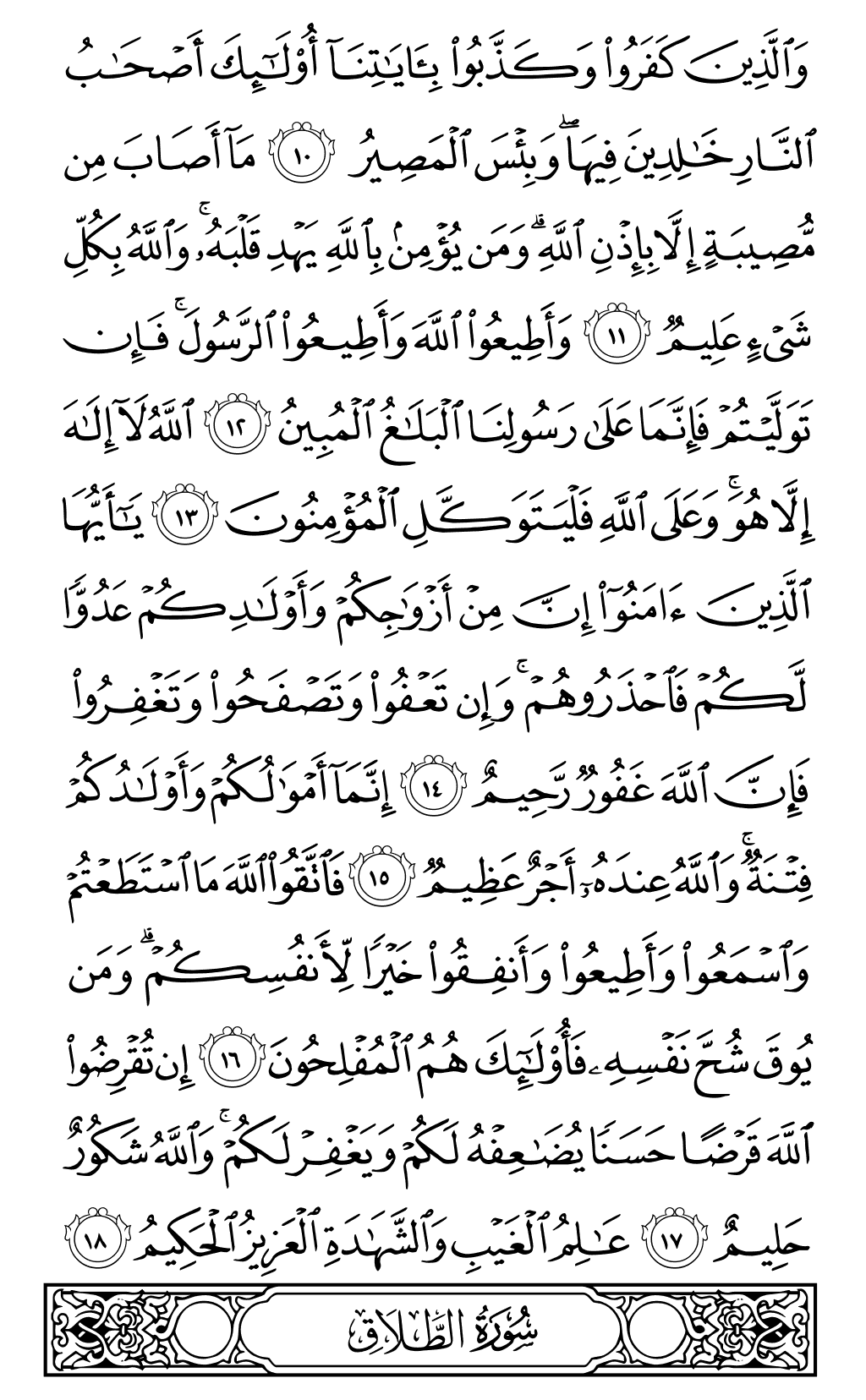 الصفحة رقم 557 من القرآن الكريم
