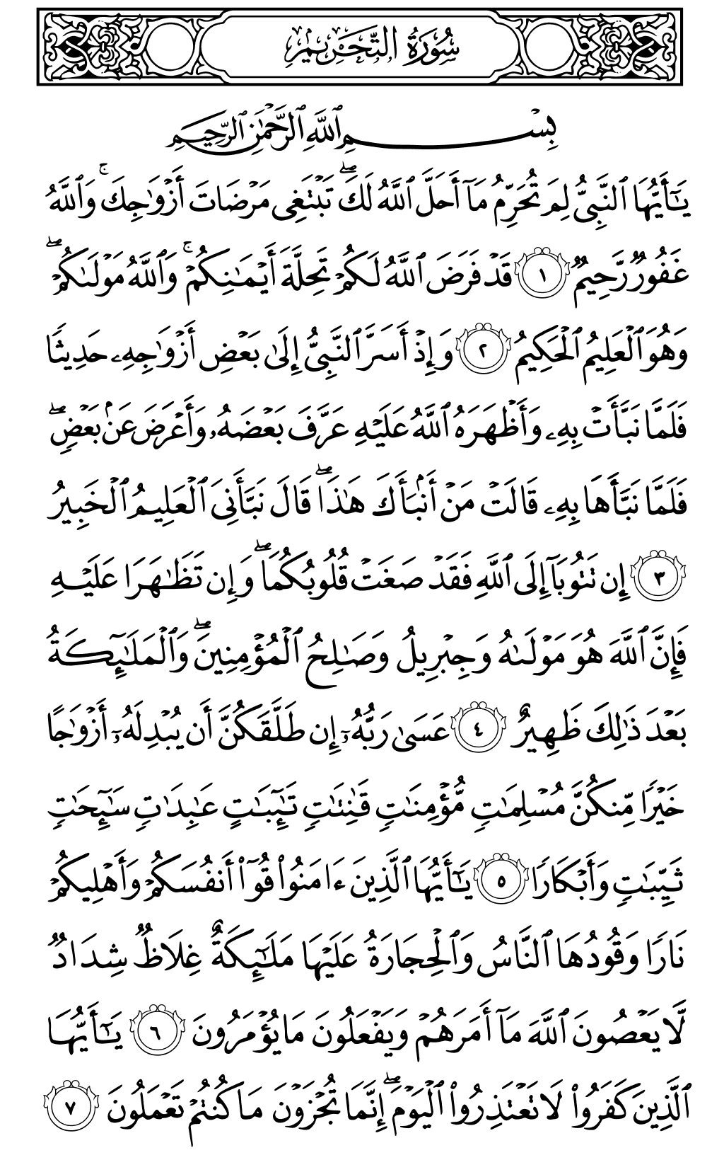 الصفحة رقم 560 من القرآن الكريم