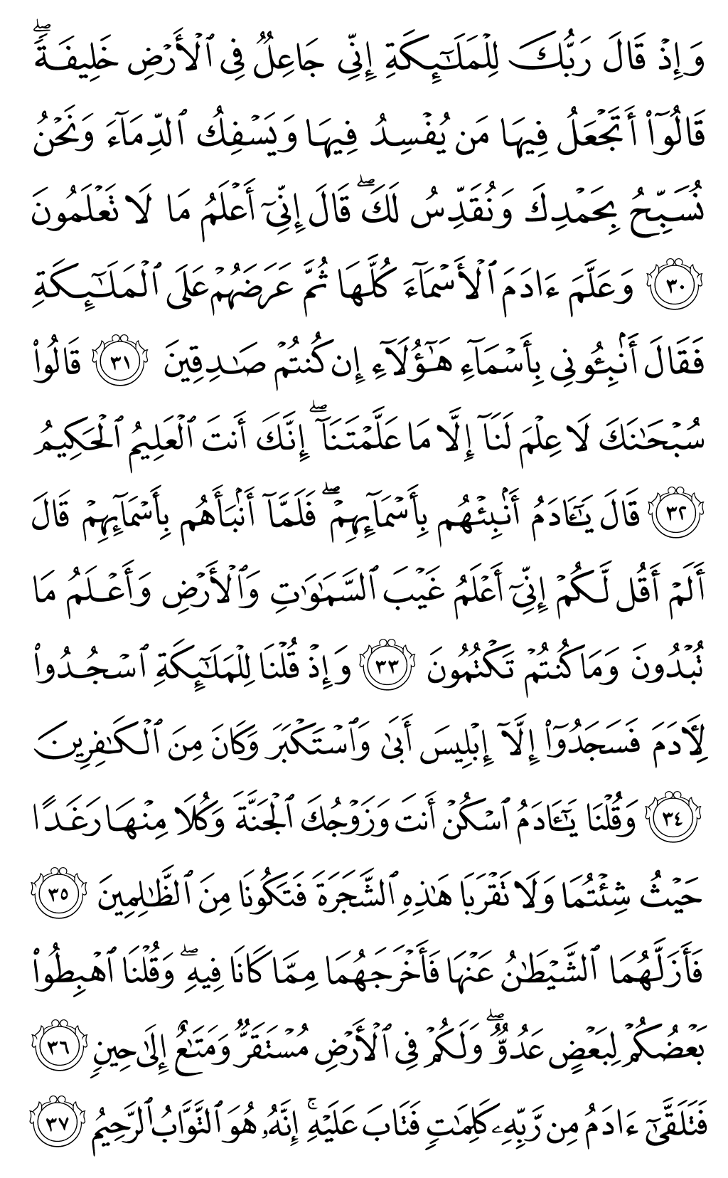الصفحة رقم 6 من القرآن الكريم