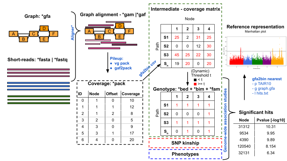 image info