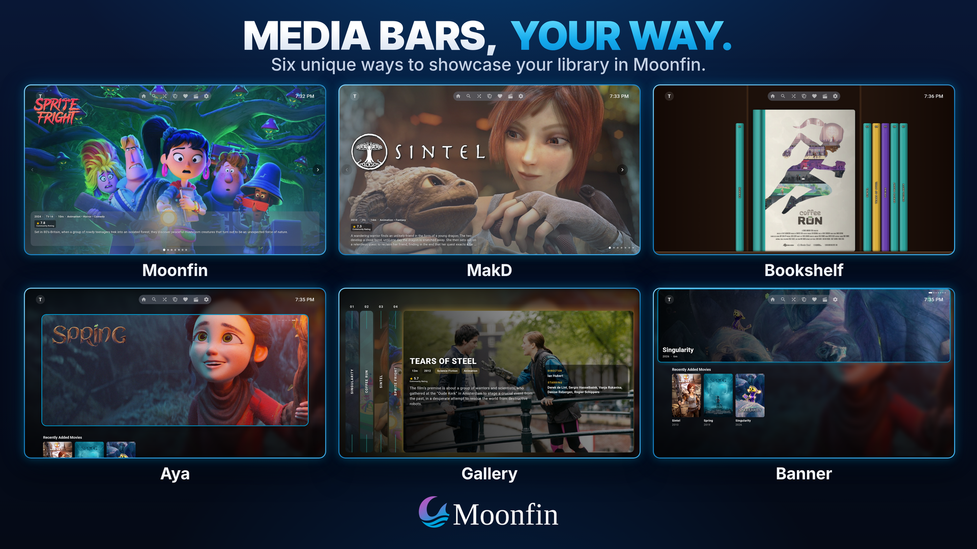 The six media bar styles