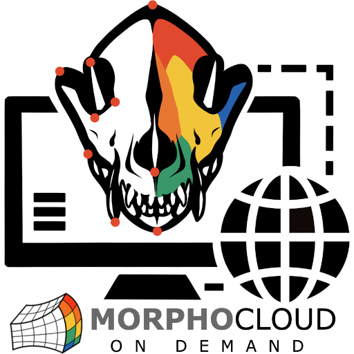 MorphoCloud logo