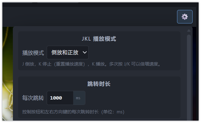 播放设置