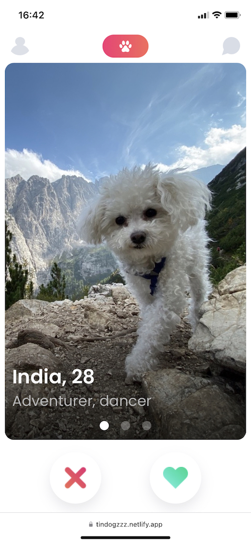 Screenshot of the app