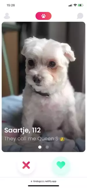 demo of the resizing