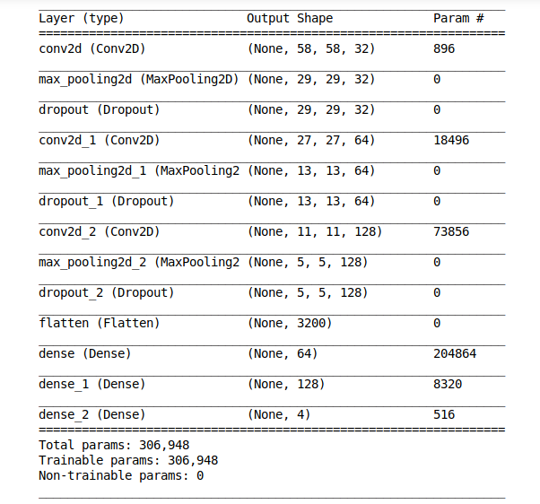 Model Summary