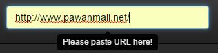 Paste URL in first text field