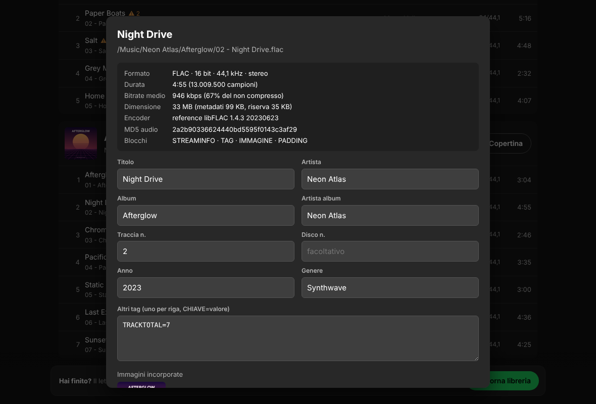 Song details and tag editor