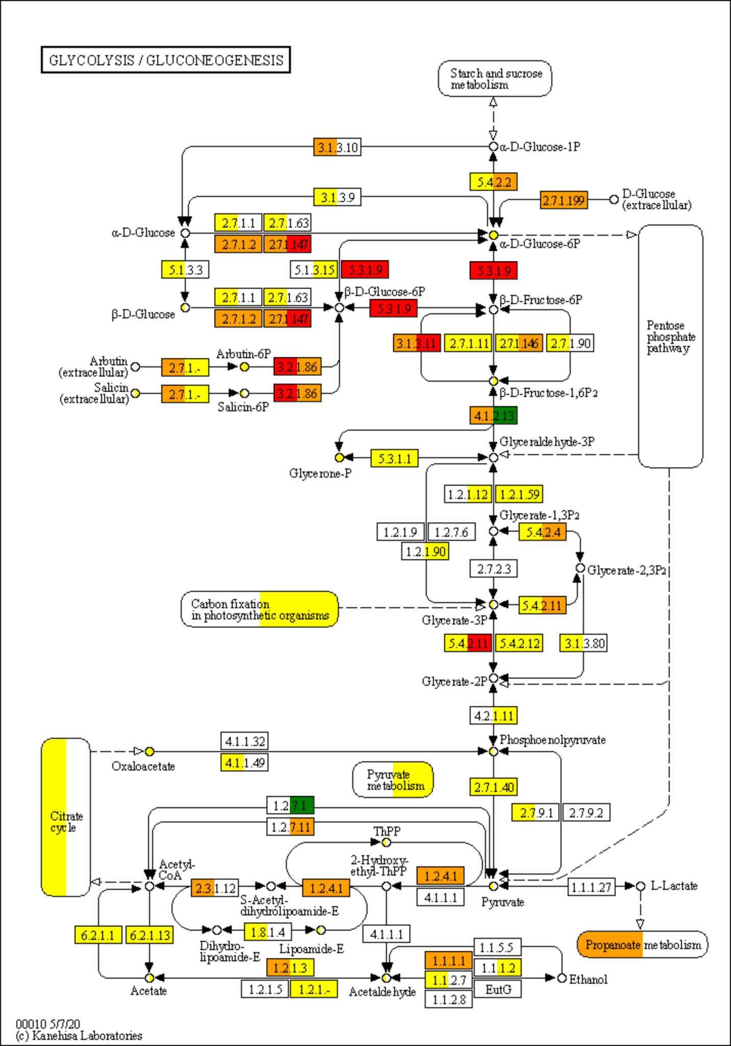 colored by multiple organisms