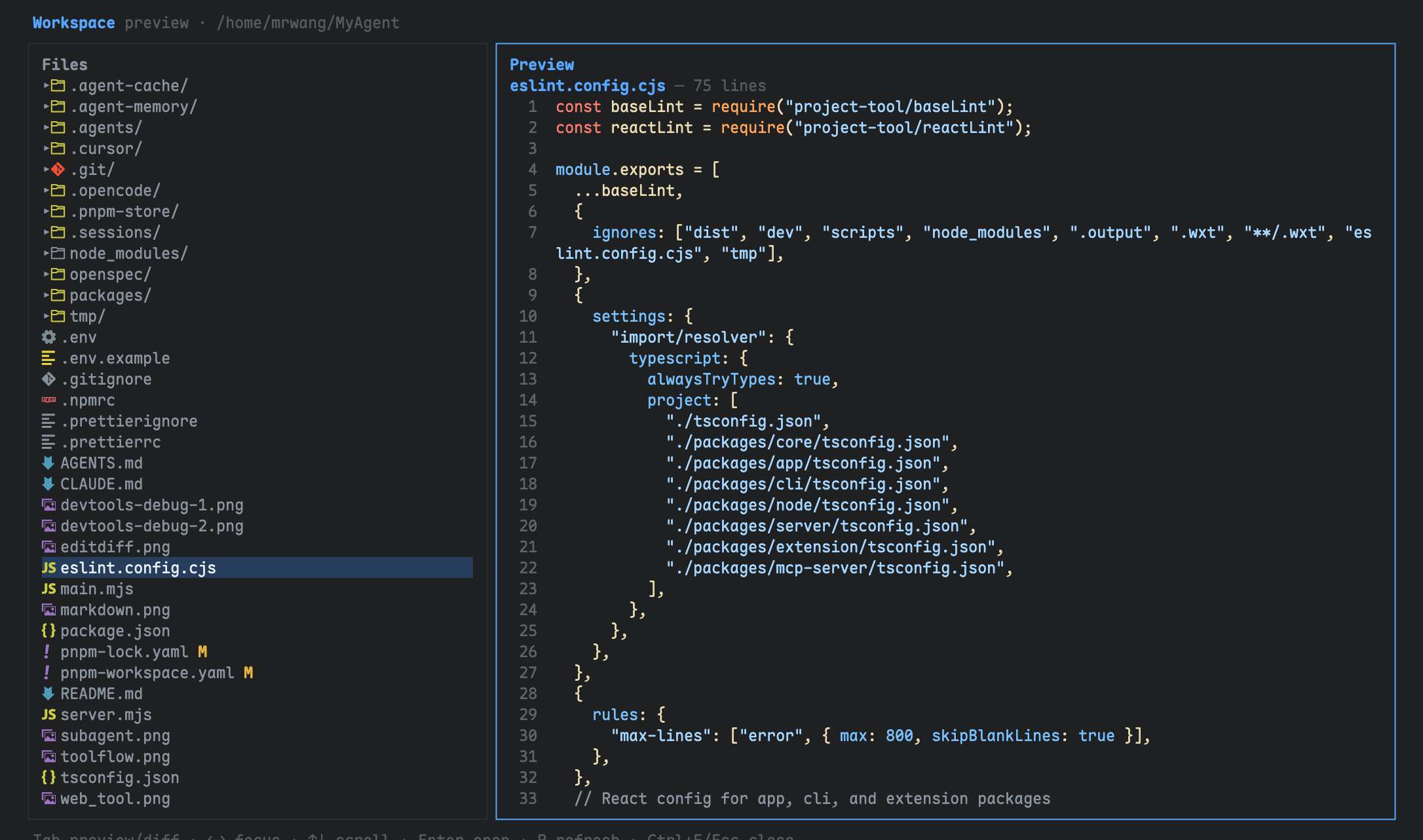 Workspace — file preview