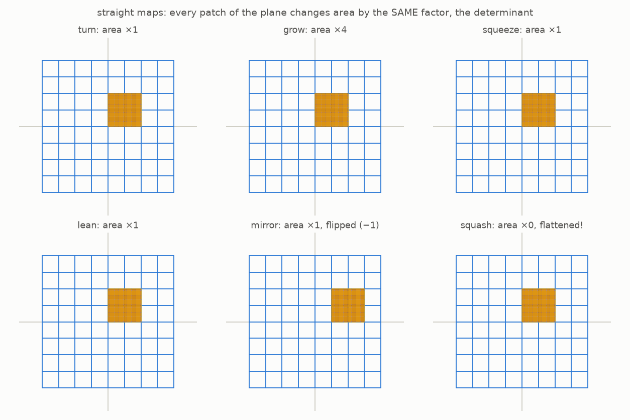 Six straight maps morph the grid at once while a yellow patch shows each area factor