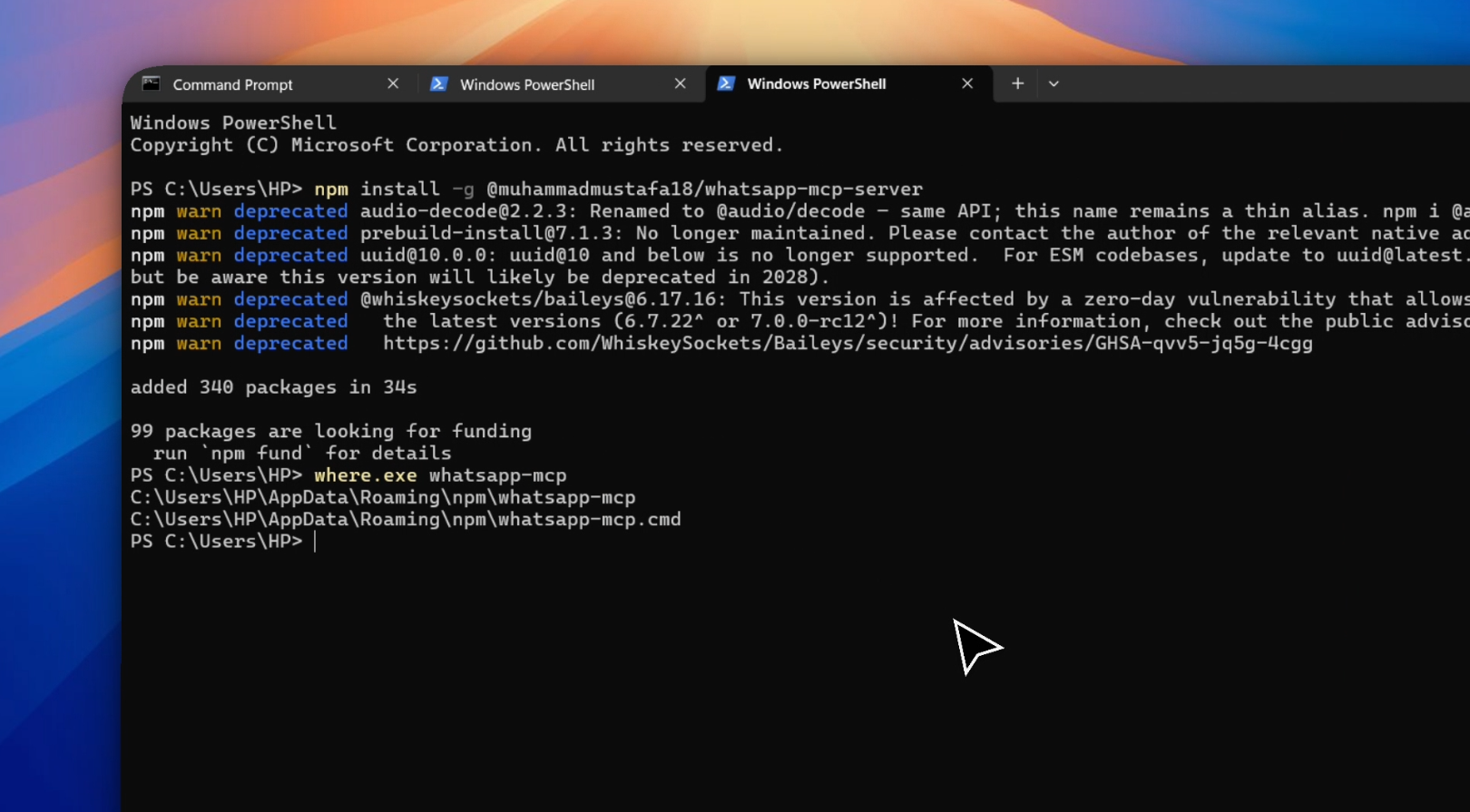 NPM install completed