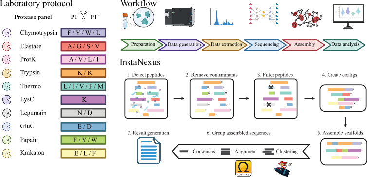 InstaNexus Workflow