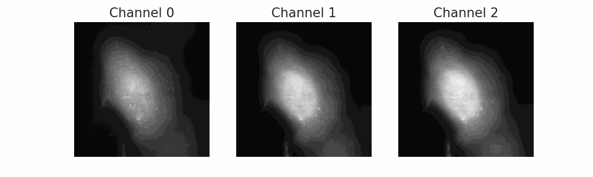 rSNAPed simulated cell