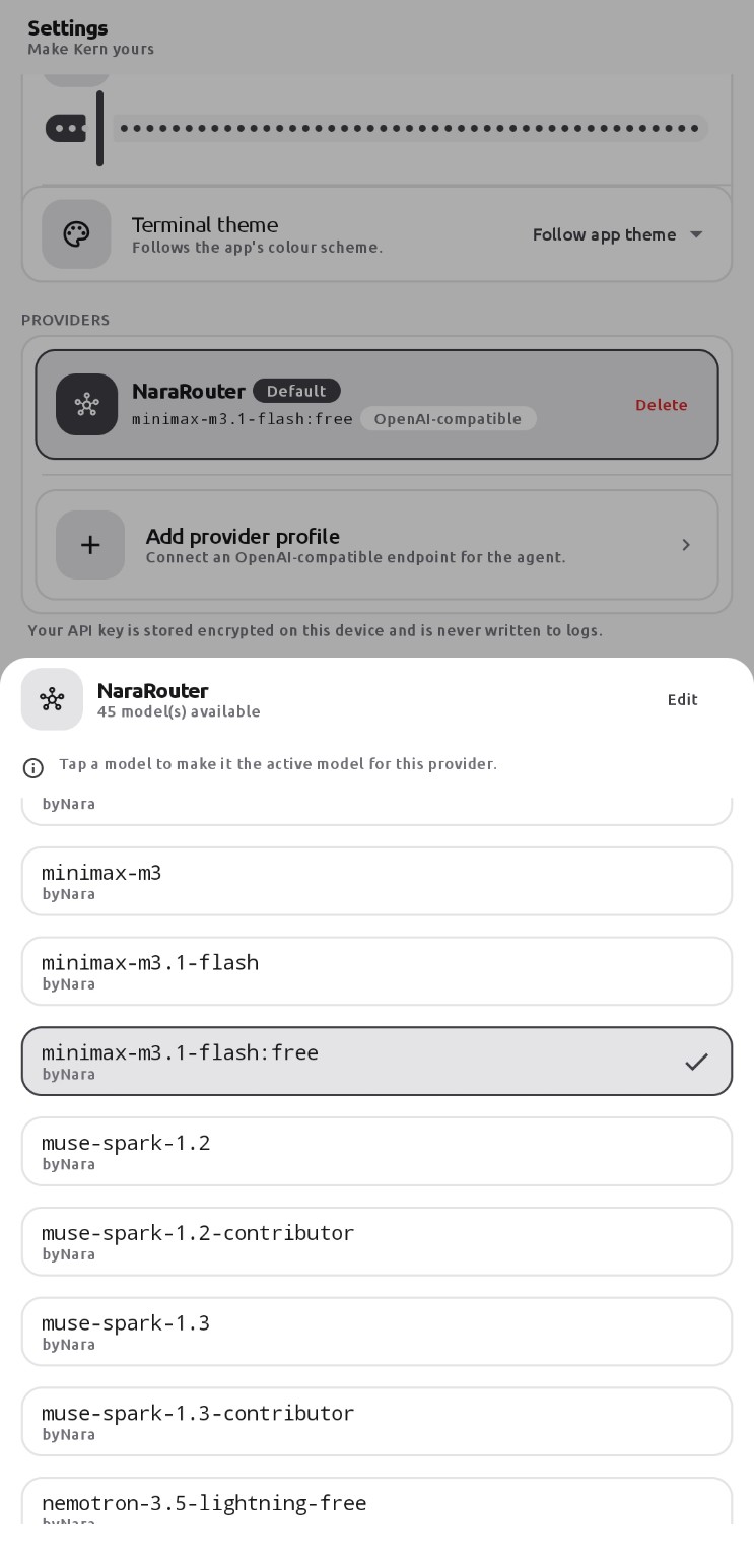 Terminal theme settings