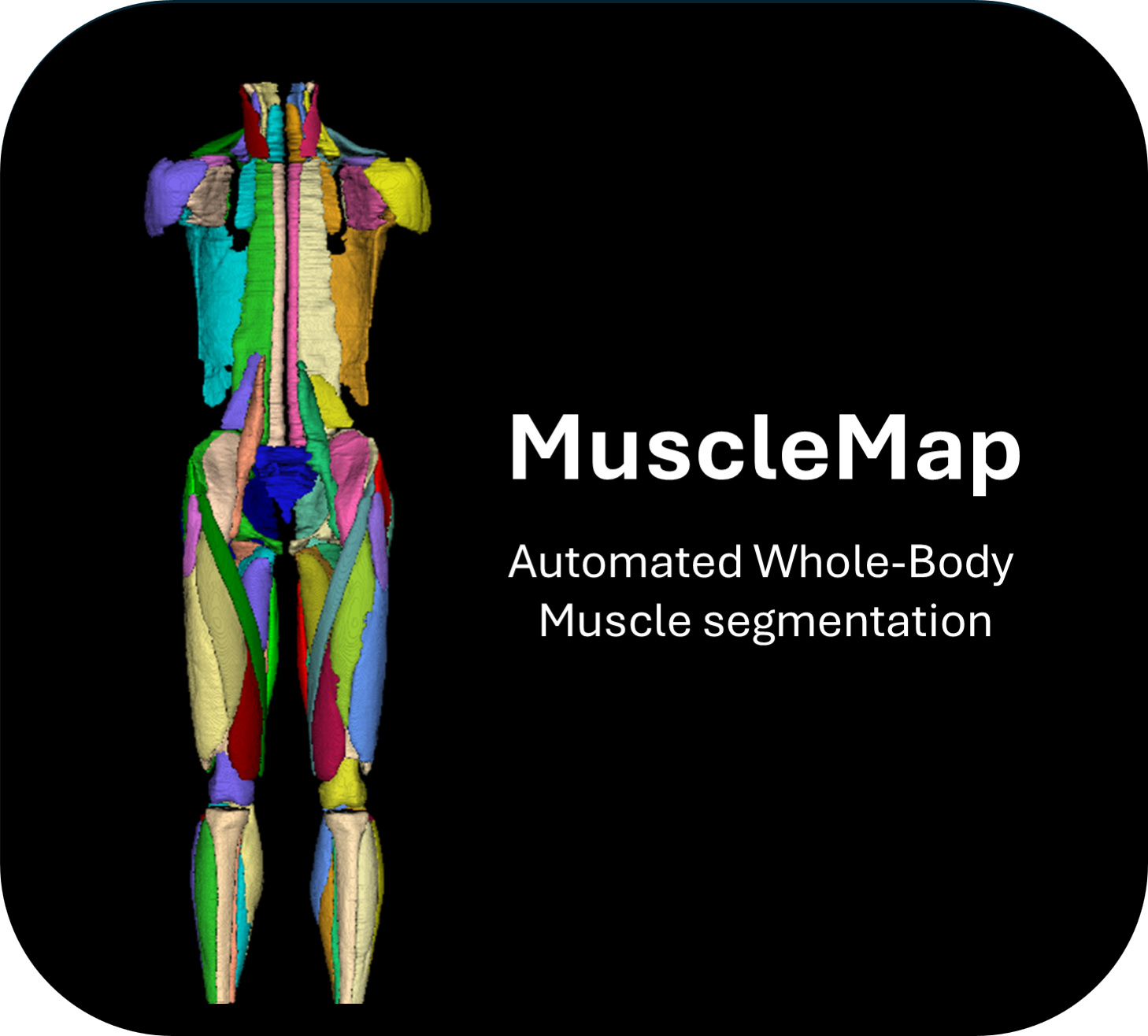 @KitwareMedical/slicer-extensions-webapp