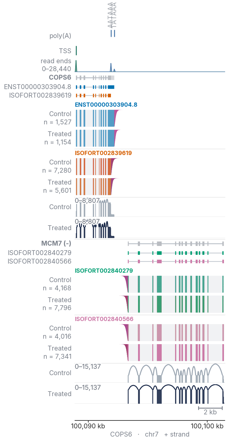 COPS6 with MCM7, the gene on the opposite strand, drawn whole below it