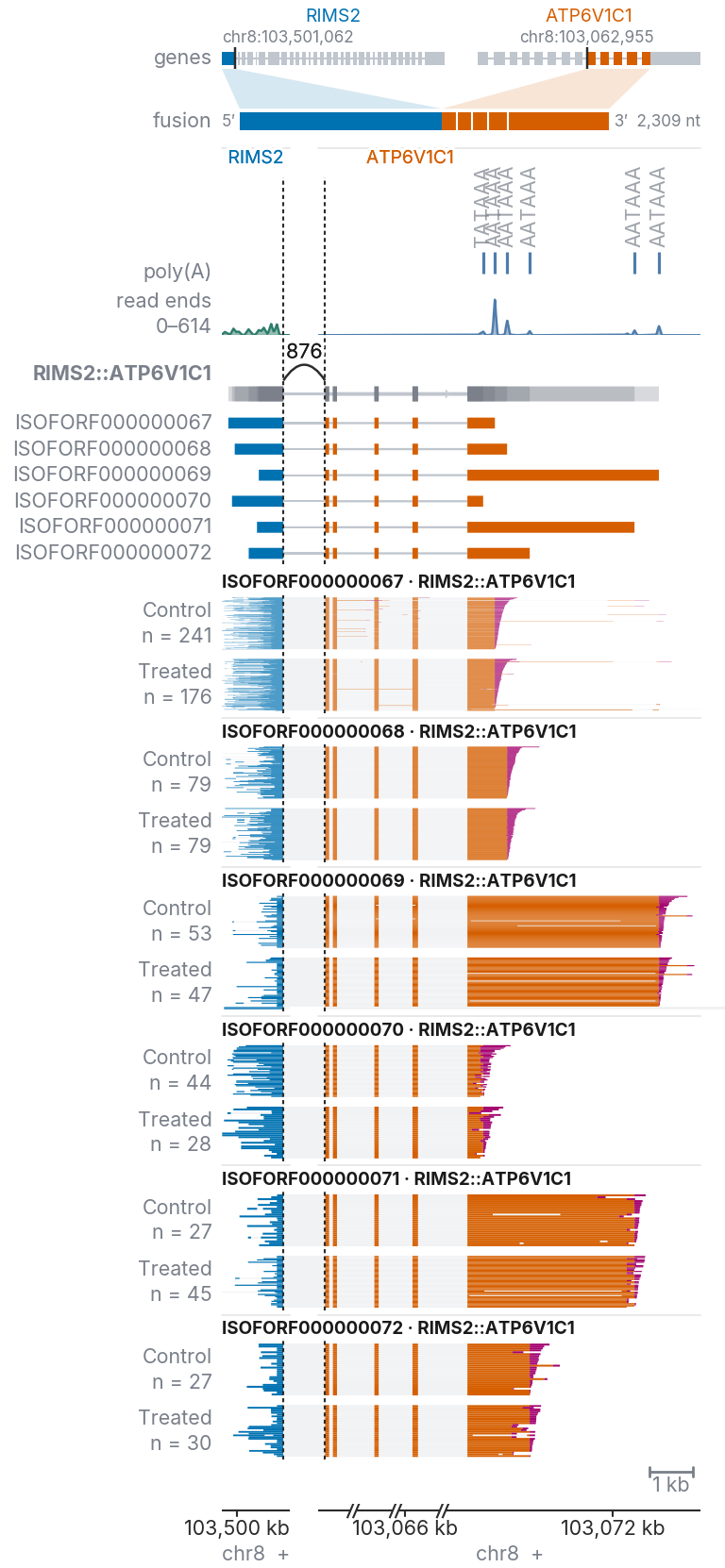 A fusion: schematic, sites, fusion gene, transcripts and reads