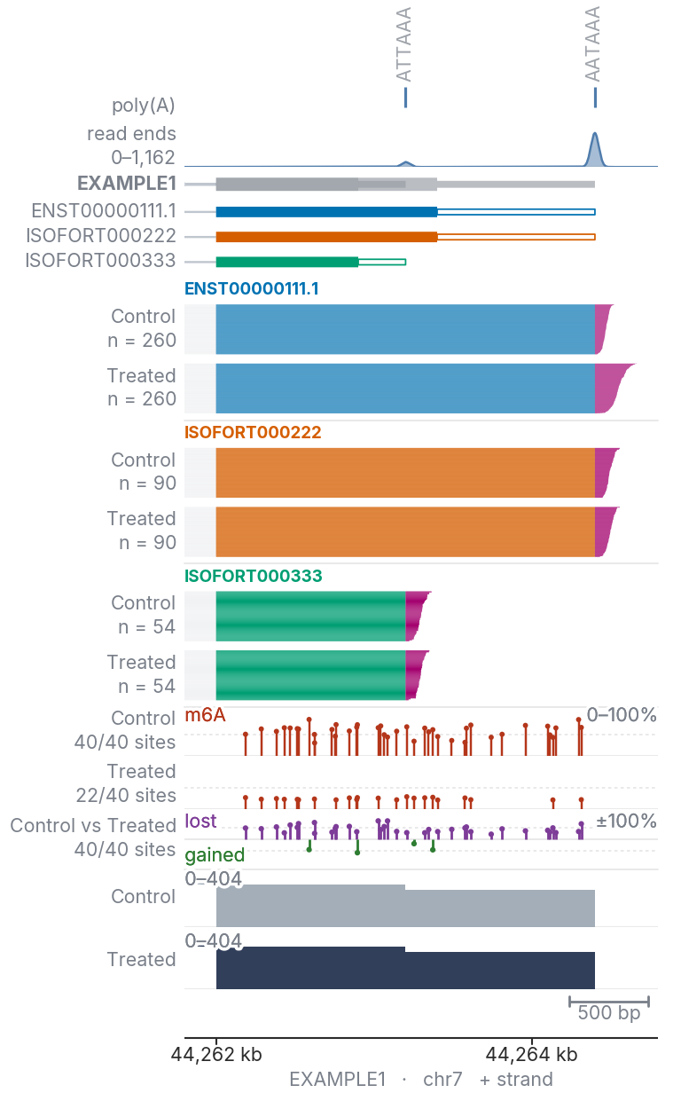 A differential modification track