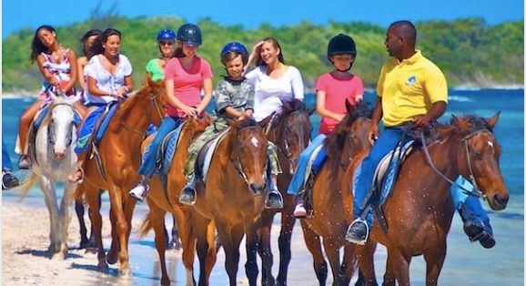 Horse Tour