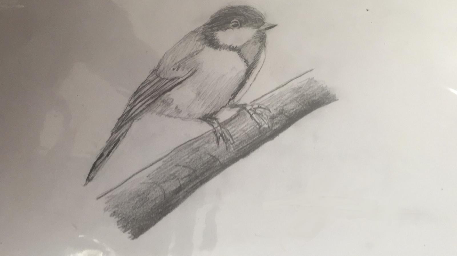 Drawing 6
