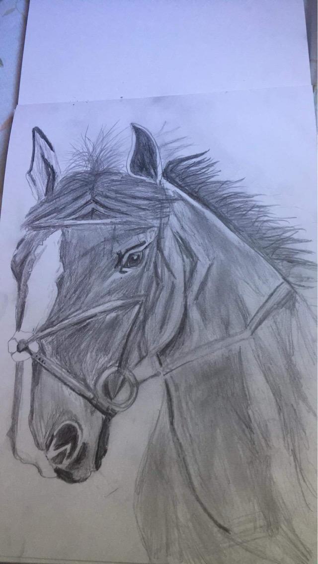 Drawing 8