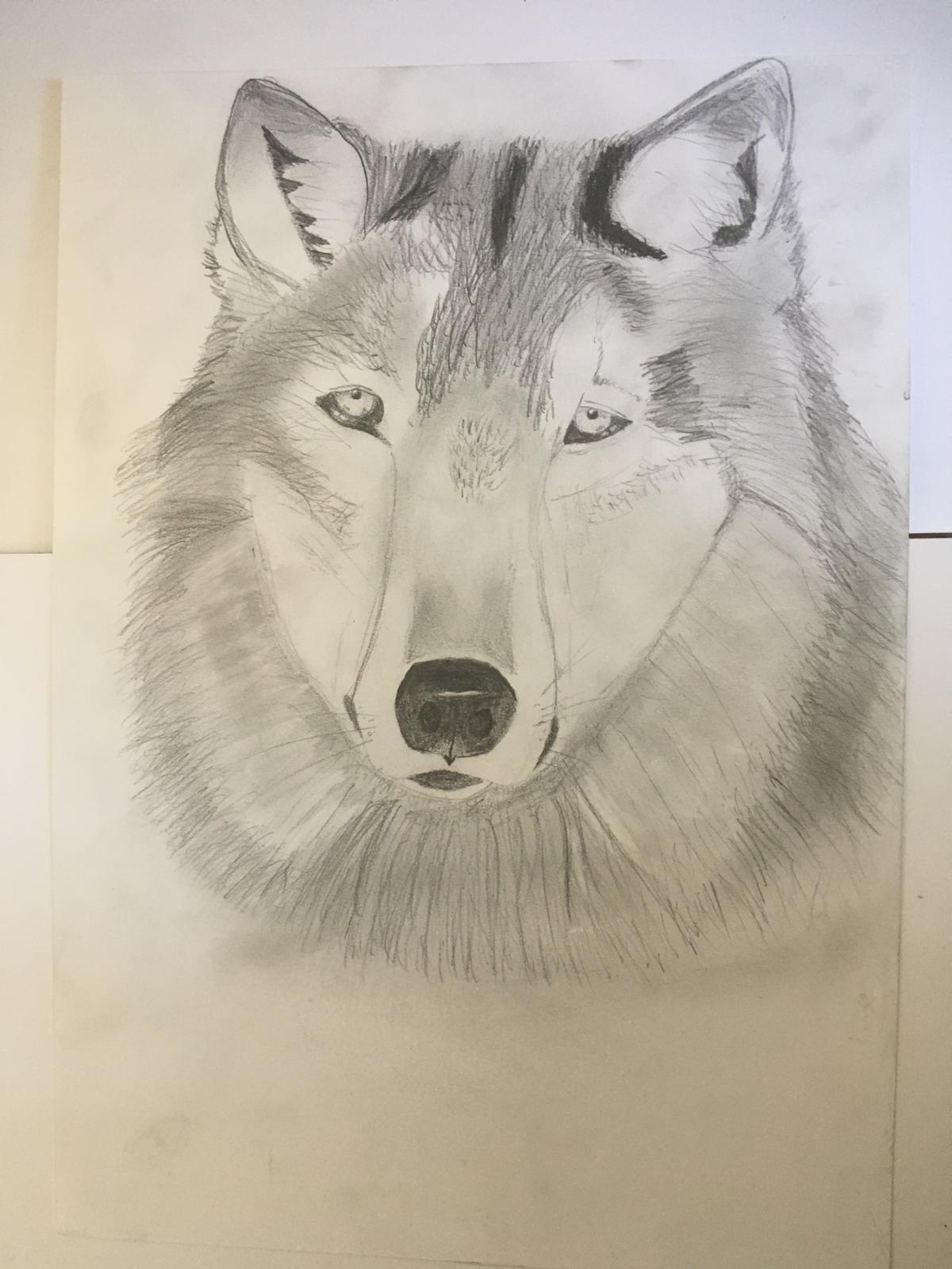 Drawing 4