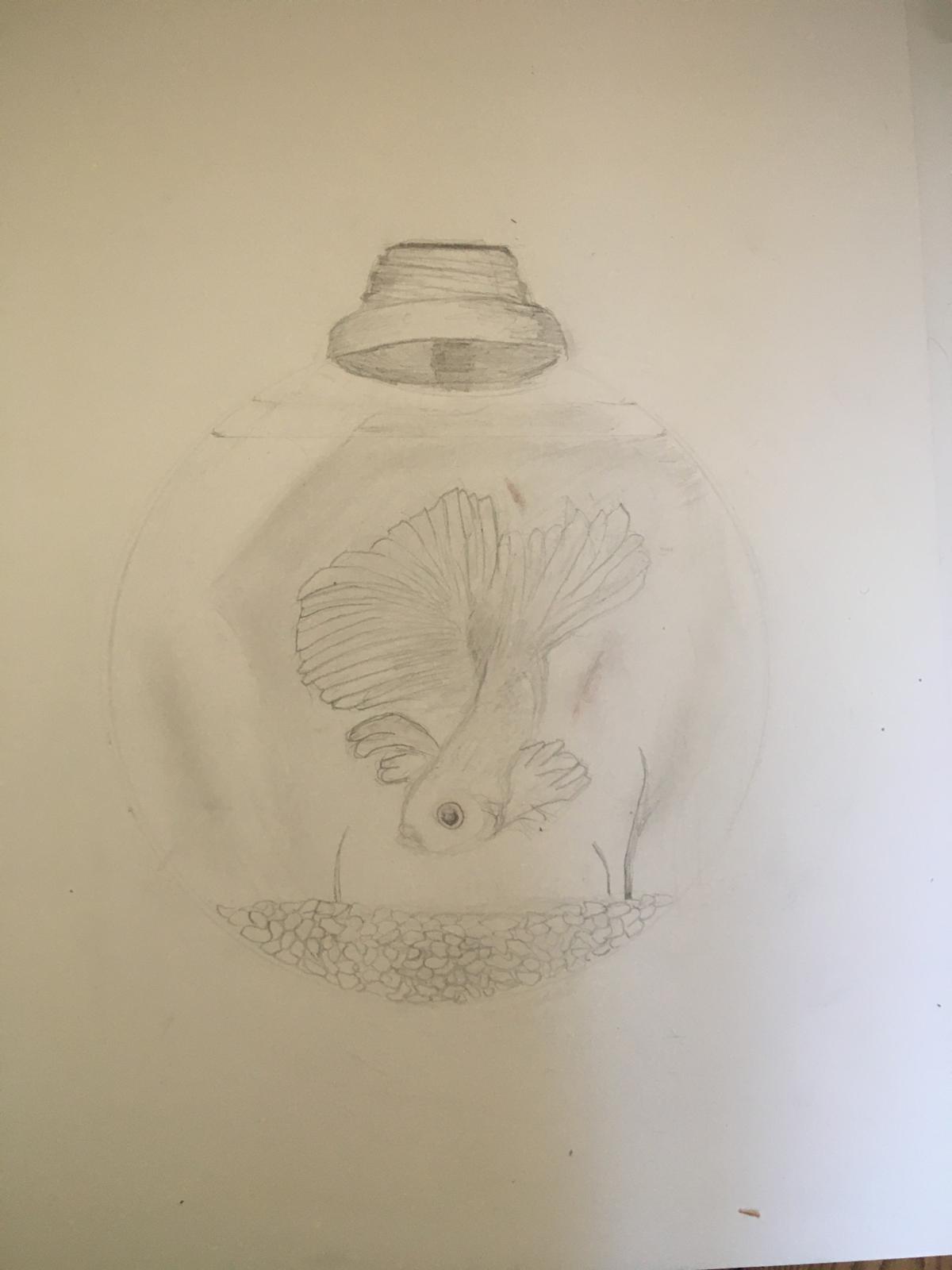 Drawing 5