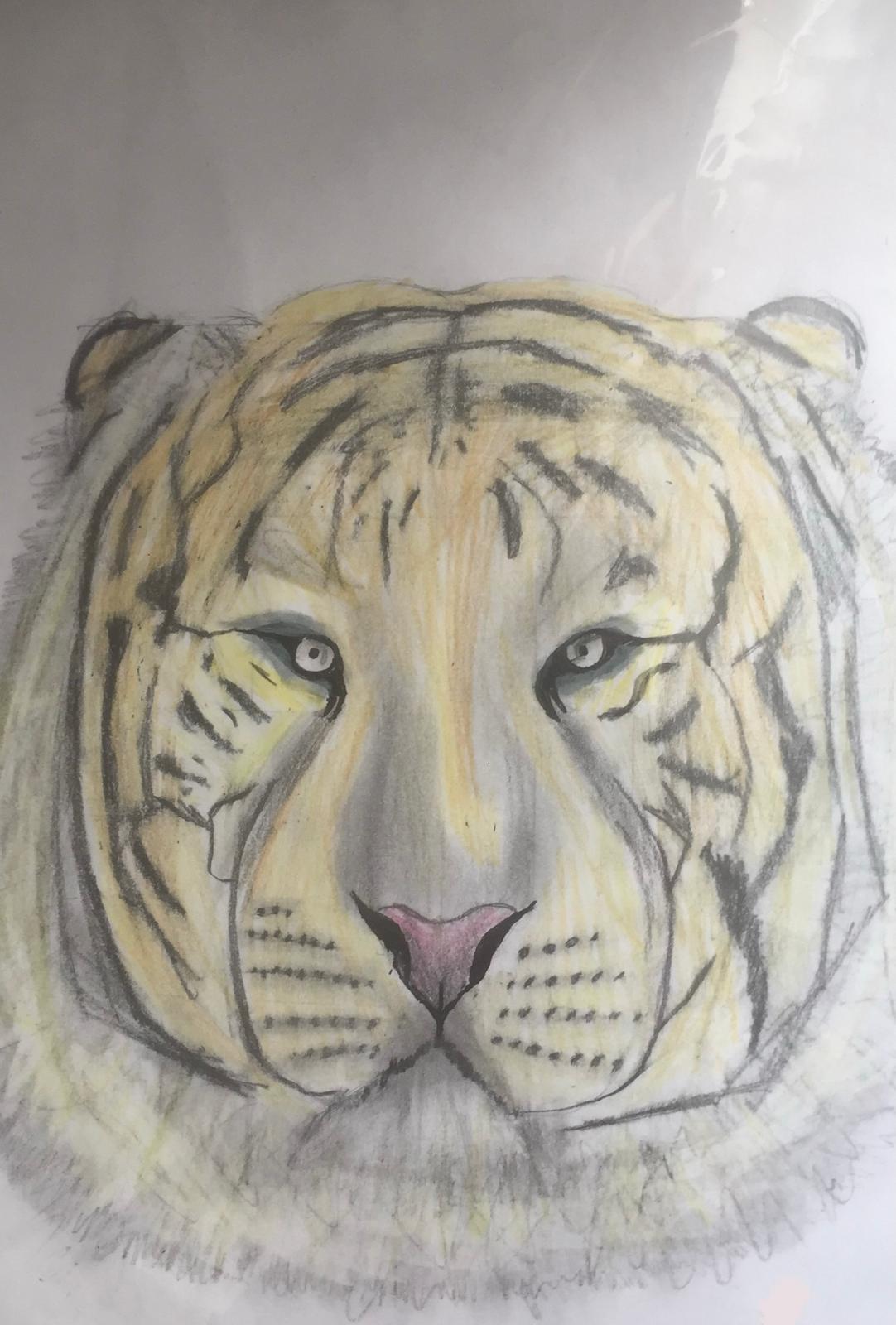 Drawing 12