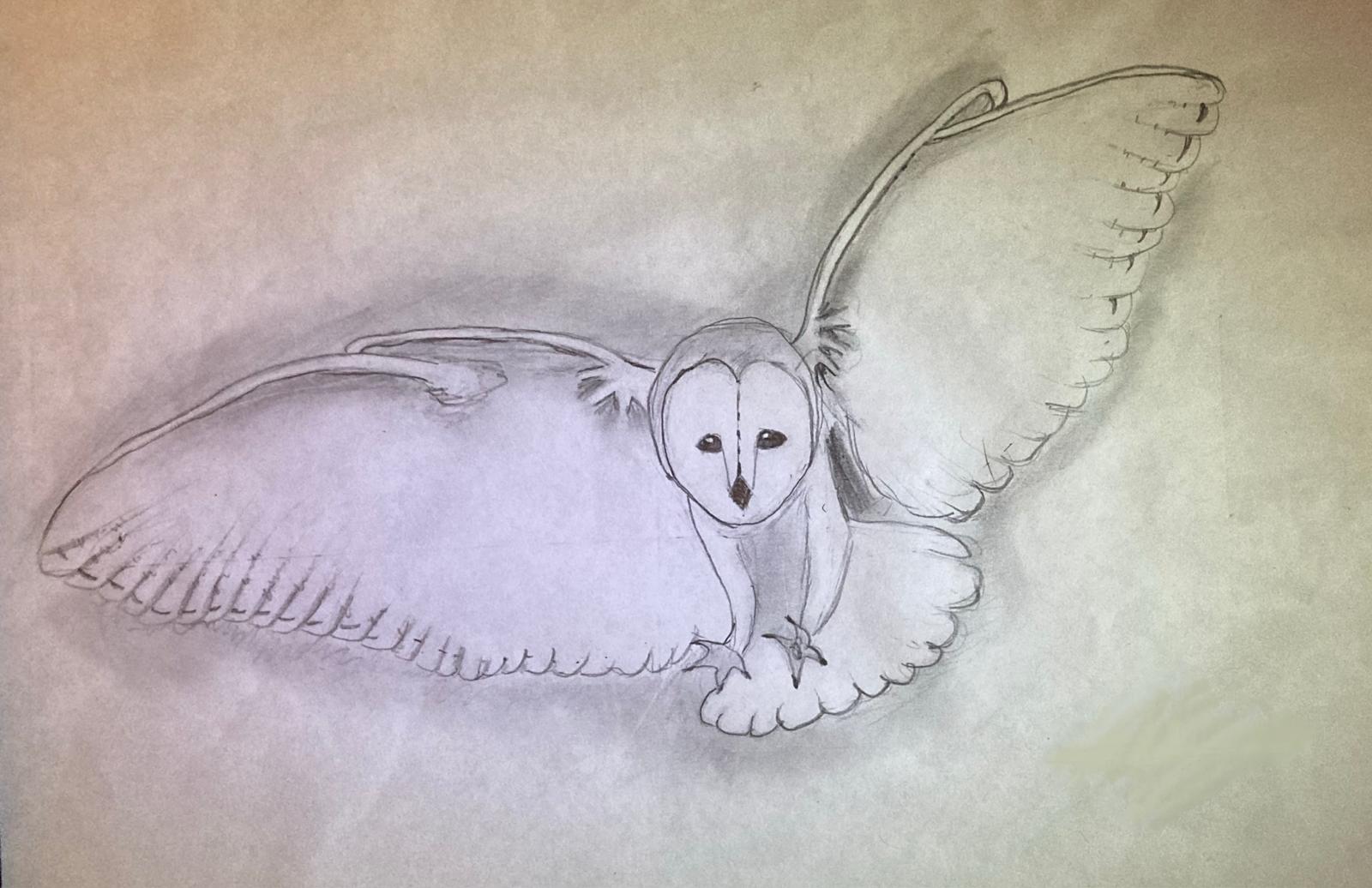 Drawing 15