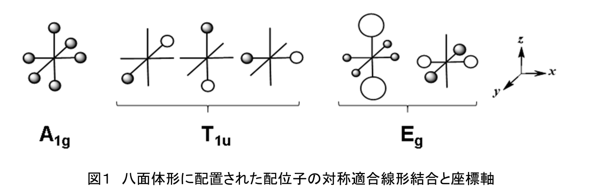 図1 八面体形に配置された配位子のSALC