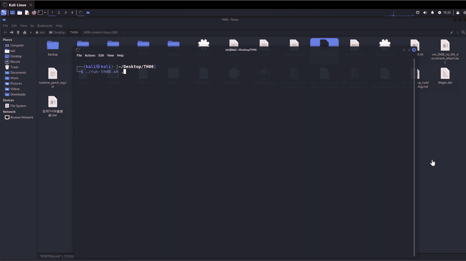 TH08 native Linux reconstruction starting and running on Kali Linux