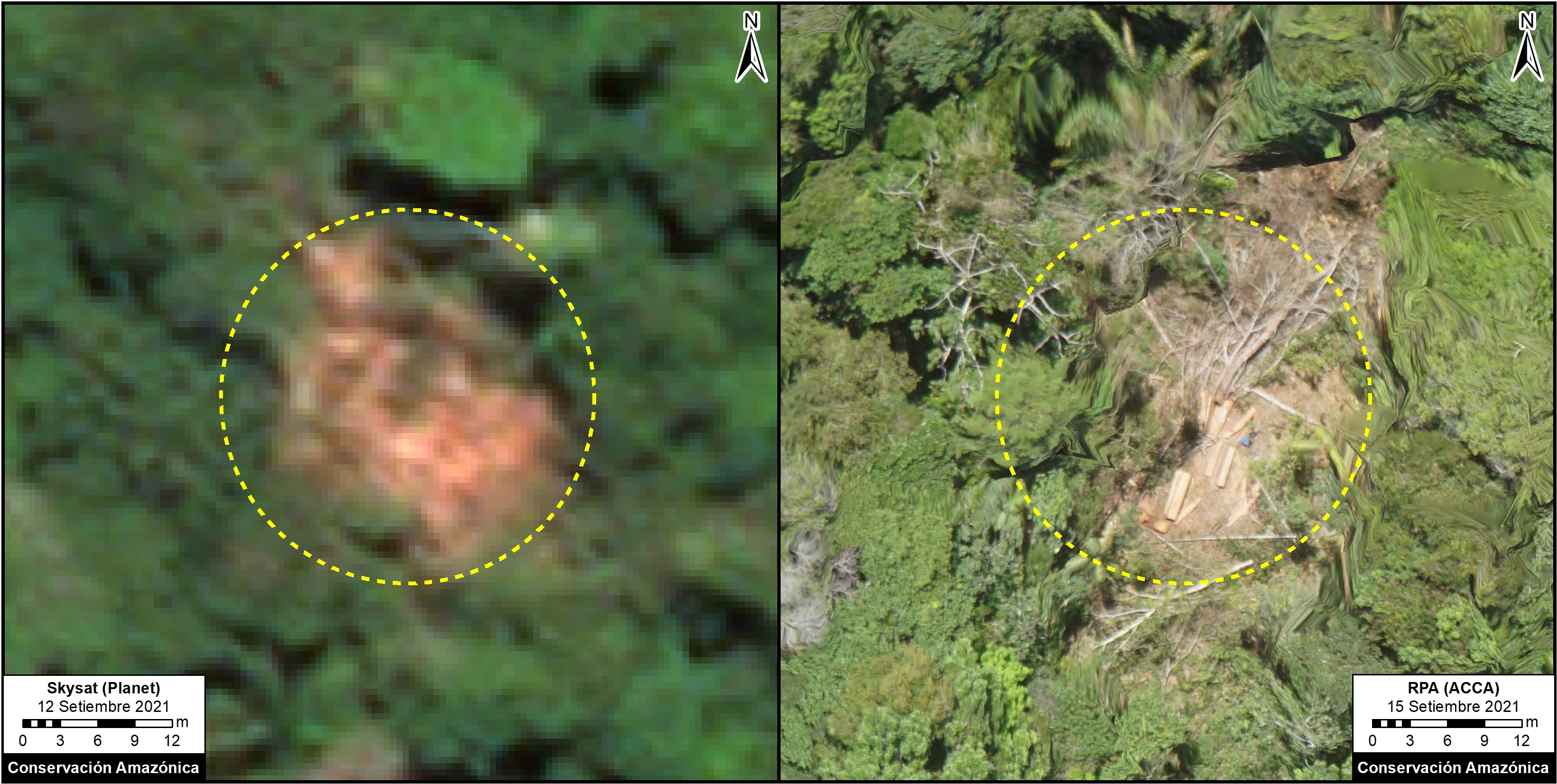 Comparison between a SkySat image (0.5 m) and a drone image (3 cm)