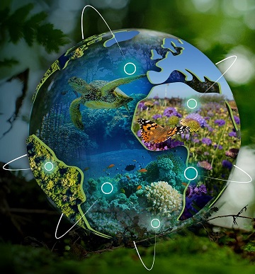 BioSCape Workshop at BioSpace25