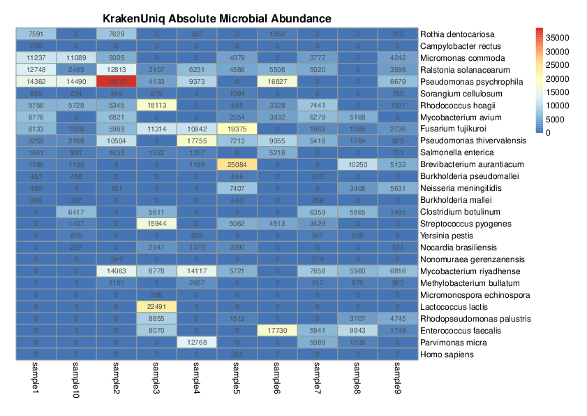 KrakenUniq_abundance_matrix