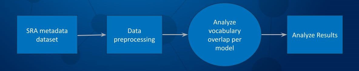 Development Workflow