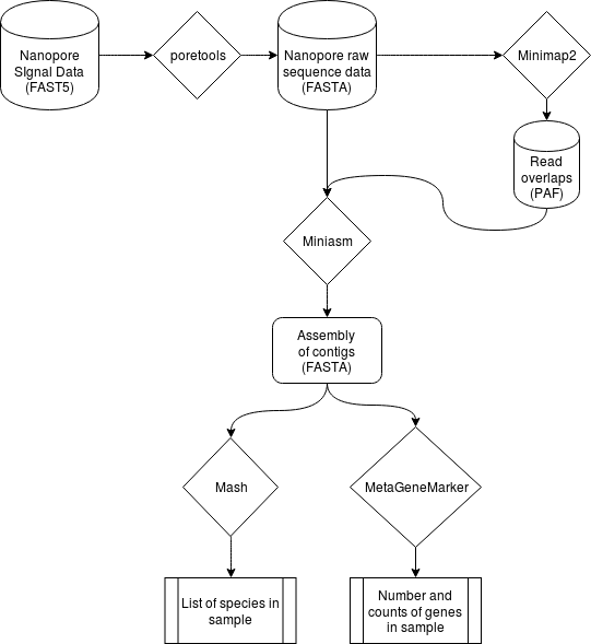 DirtPore Workflow