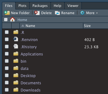 File browse pane in RStudio showing .Renviron file.